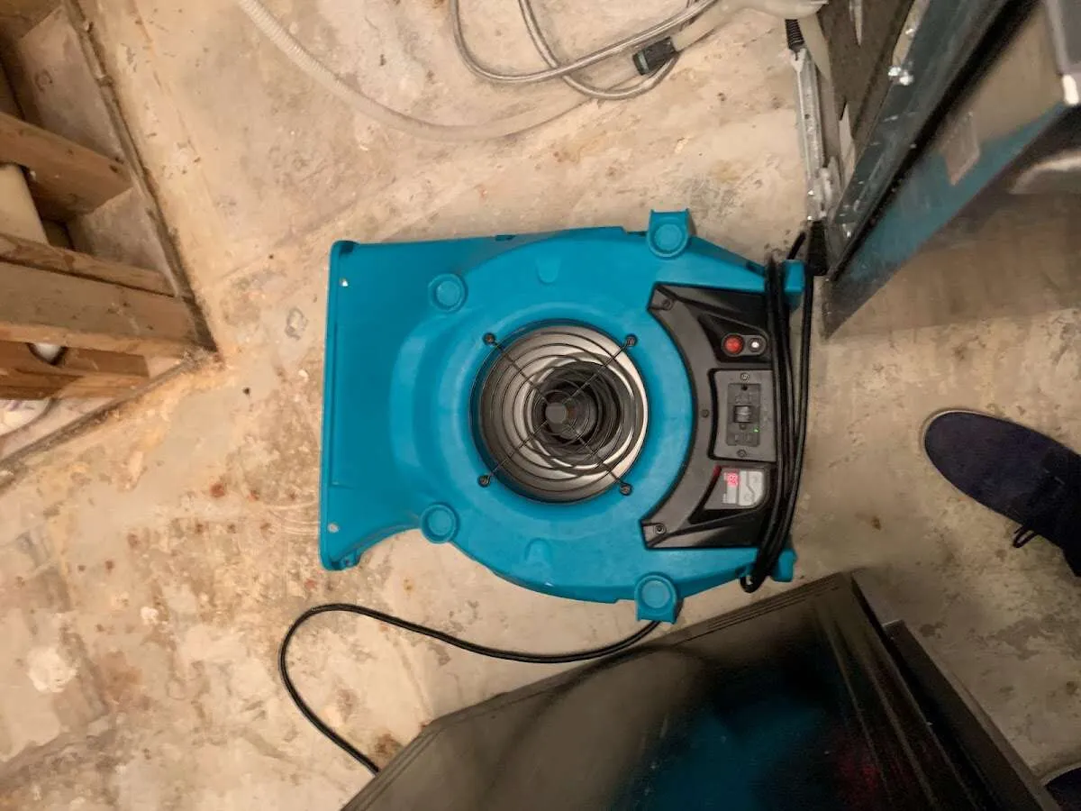 Air mover drying equipment for Mold Remediation & Removal in Merrifield